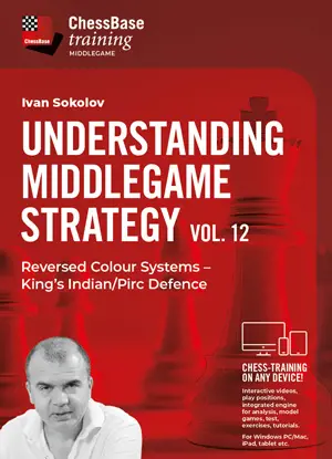 Understanding Middlegame Strategy Vol.12