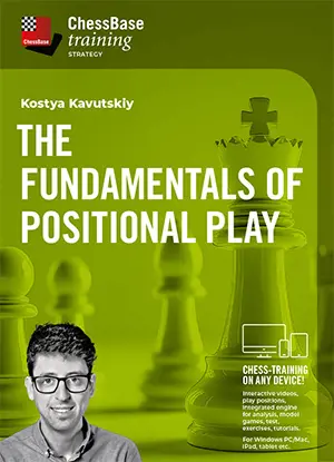 The Fundamentals of Positional Play