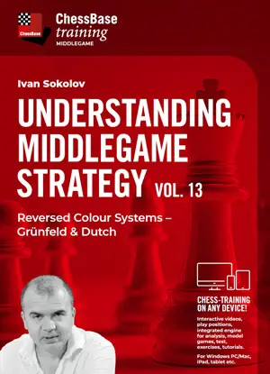 Understanding Middlegame Strategy Vol.13