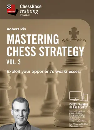 Mastering Chess Strategy Vol. 3